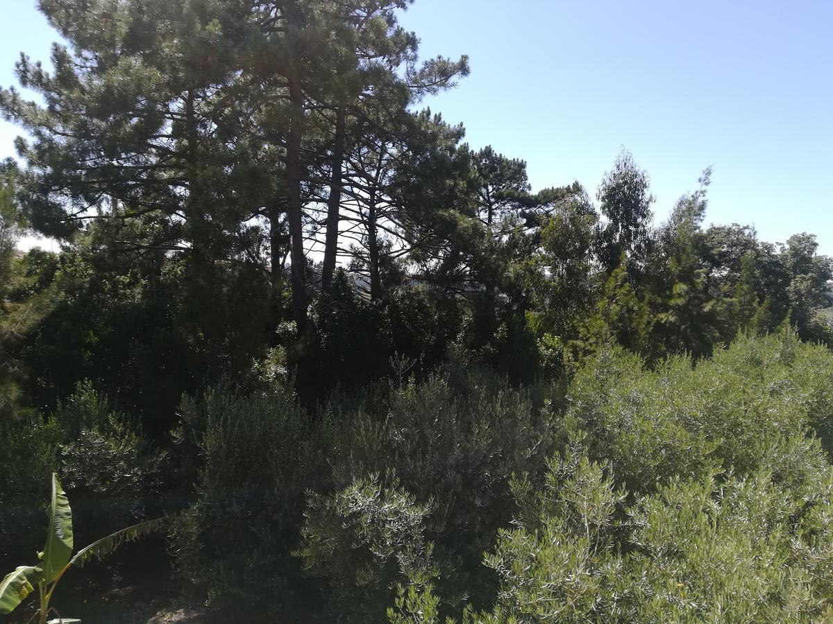 Quinta Vale Real Βίλα Alcobaça Εξωτερικό φωτογραφία