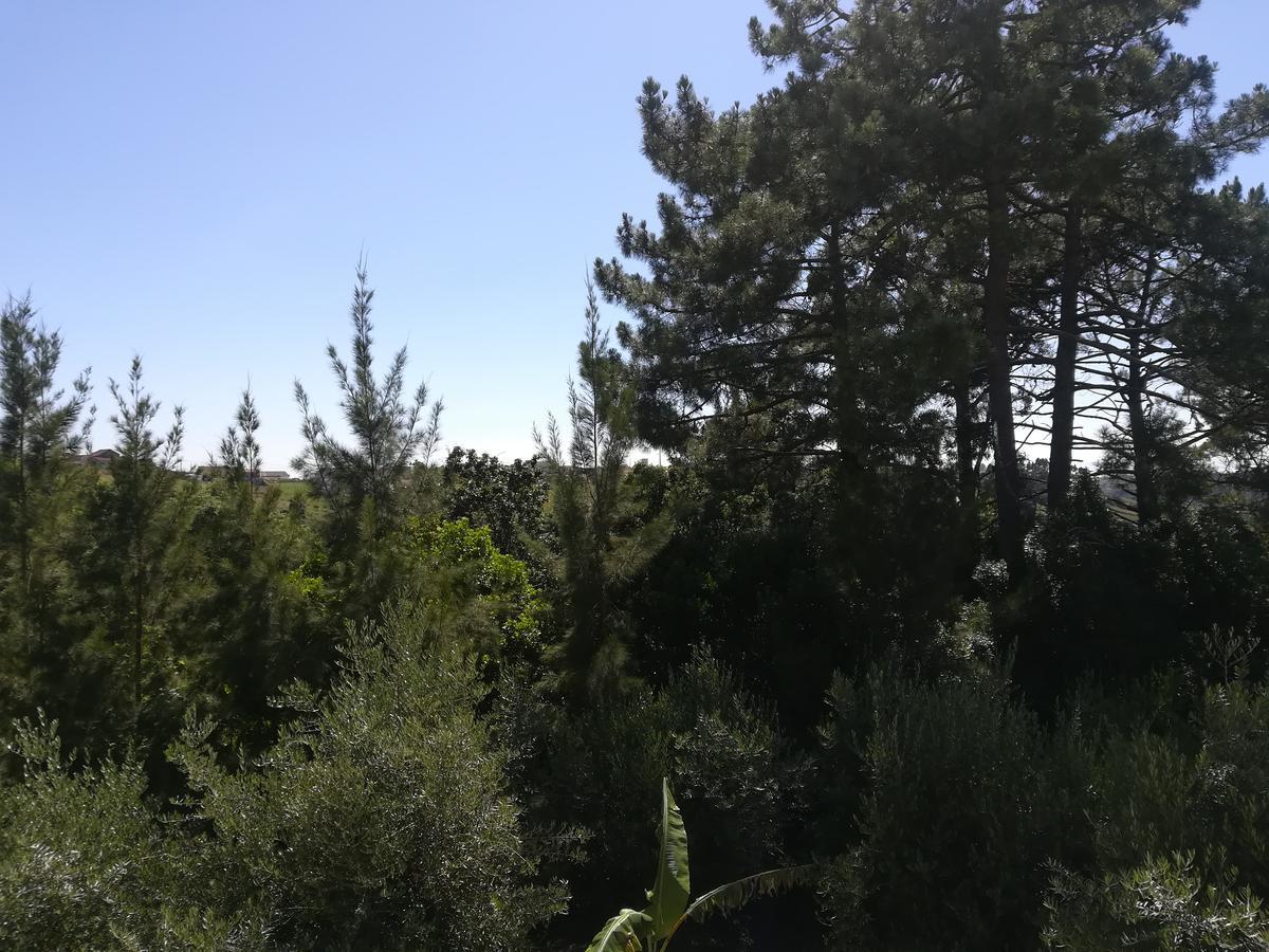 Quinta Vale Real Βίλα Alcobaça Εξωτερικό φωτογραφία