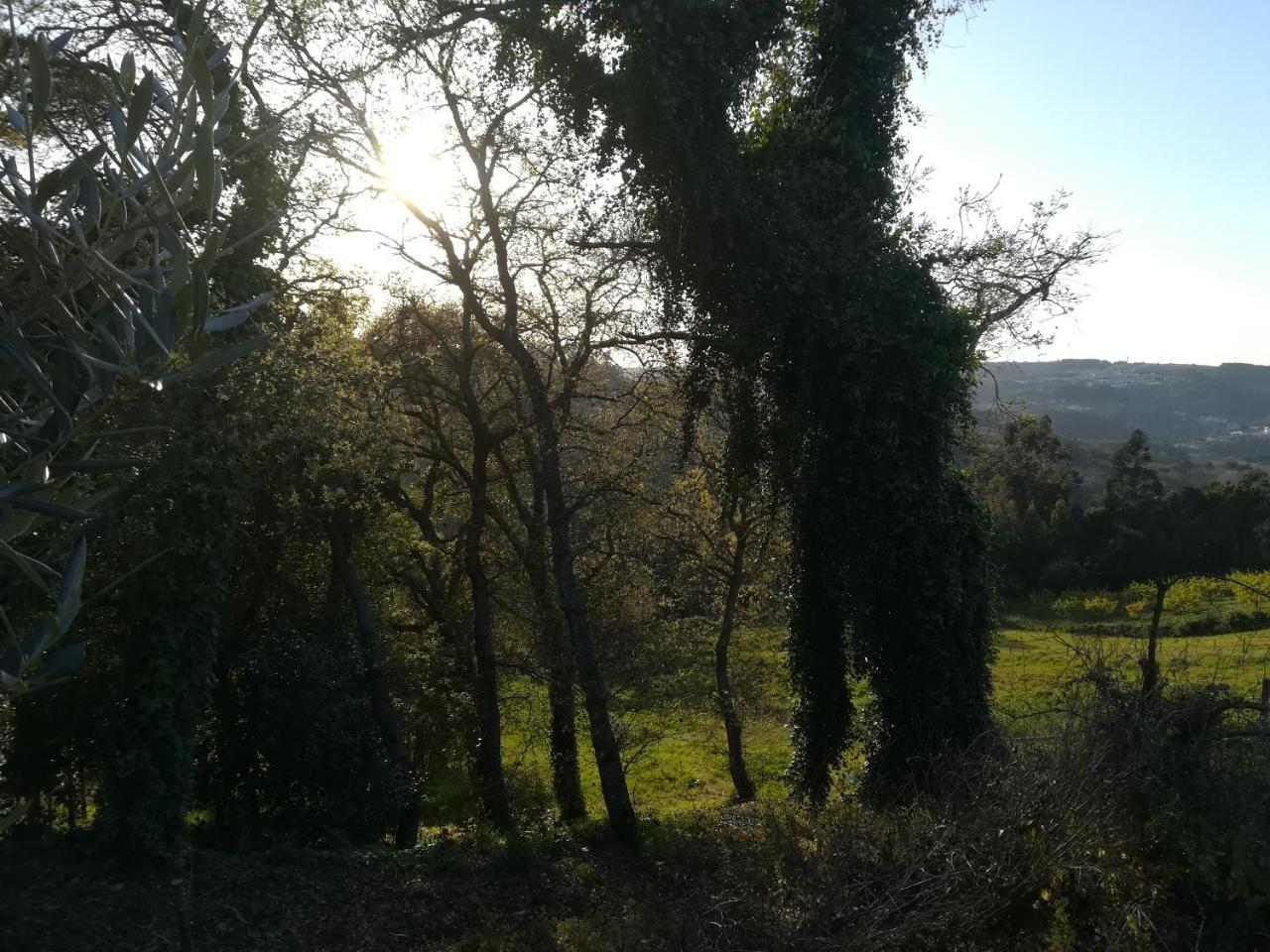 Quinta Vale Real Βίλα Alcobaça Εξωτερικό φωτογραφία